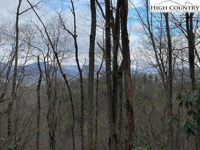 Image number 6 for the current listing