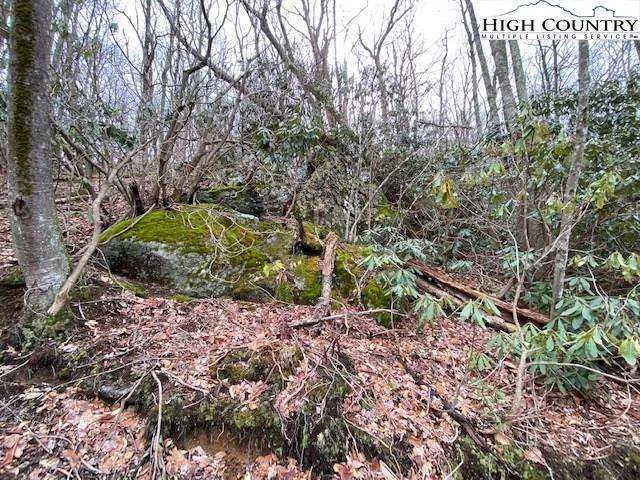 Image number 7 for the current listing
