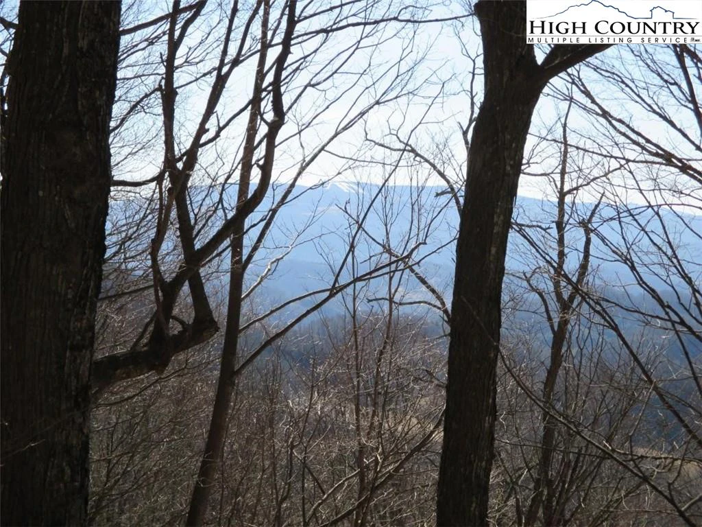 Image number 1 for the current listing