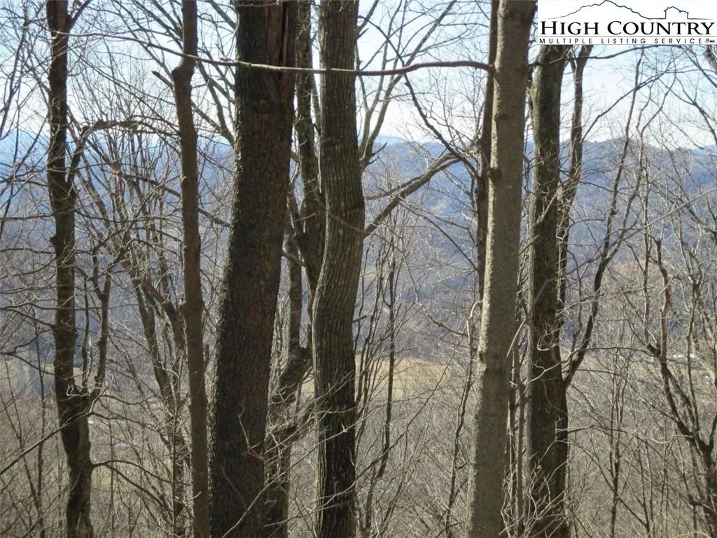 Image number 3 for the current listing