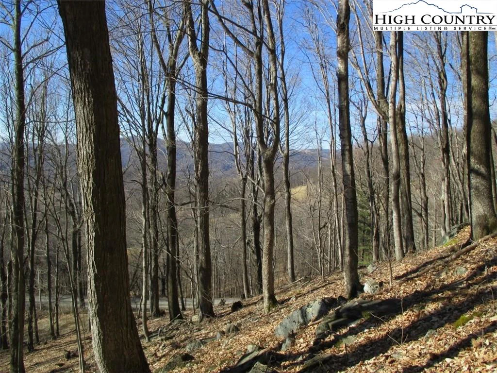 Image number 4 for the current listing