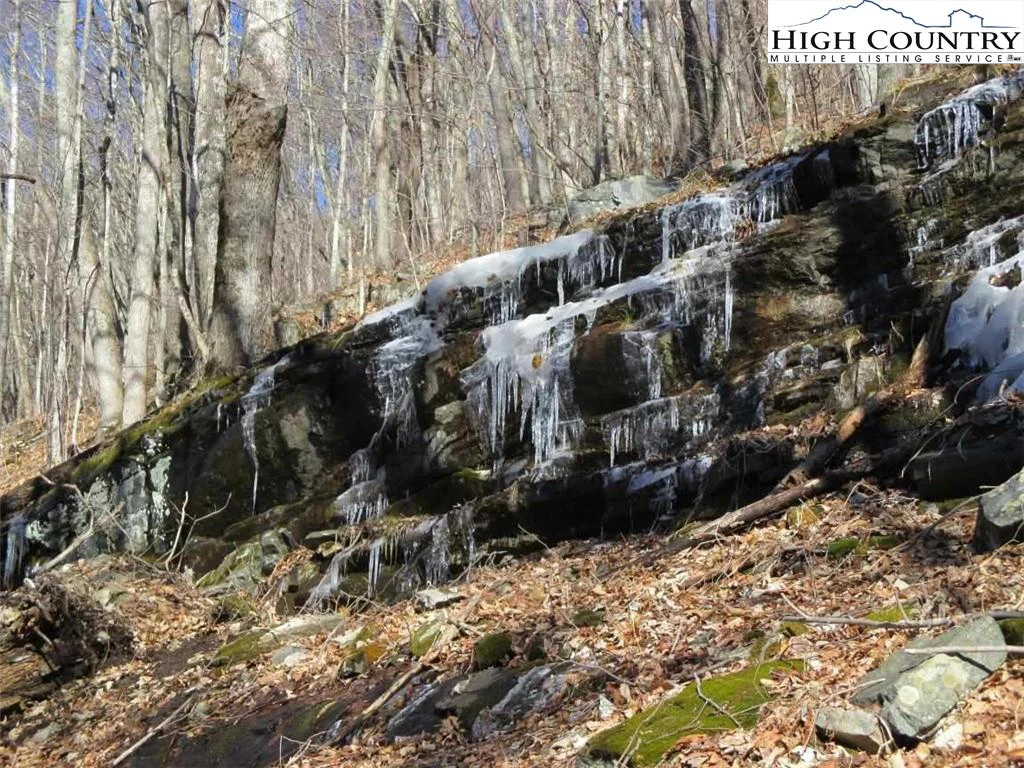 Image number 5 for the current listing