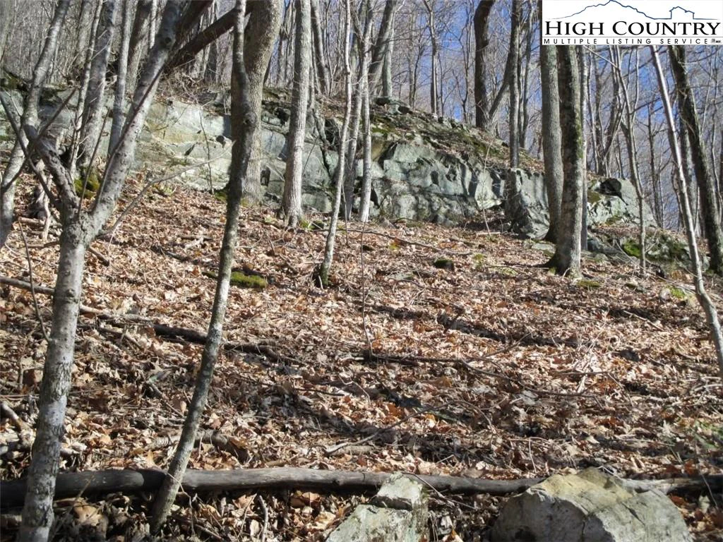 Image number 7 for the current listing
