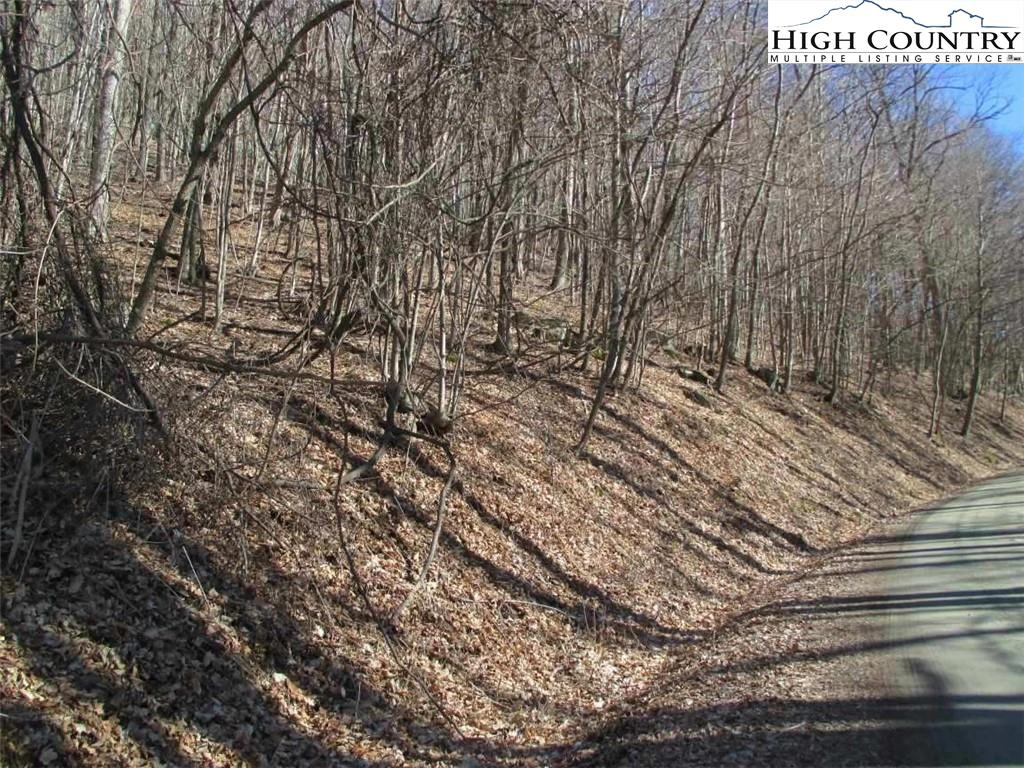 Image number 9 for the current listing