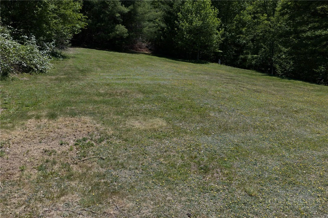 Image number 2 for the current listing