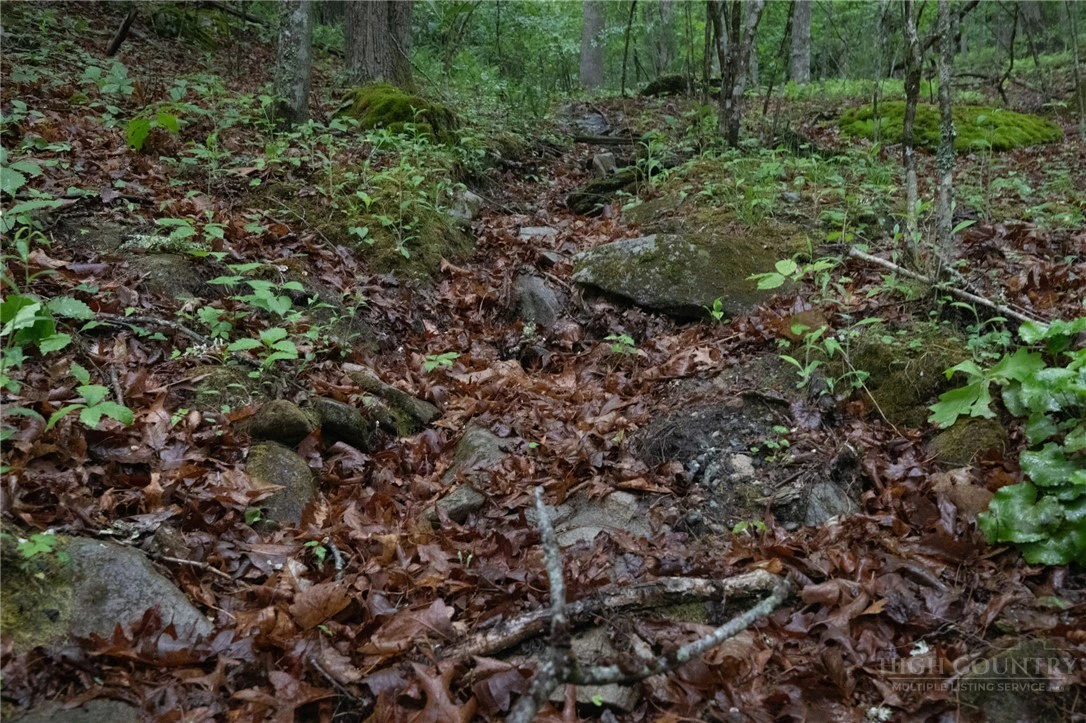 Image number 5 for the current listing