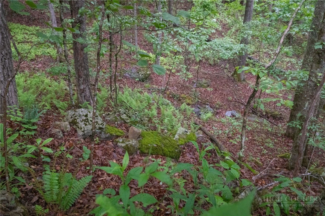Image number 6 for the current listing