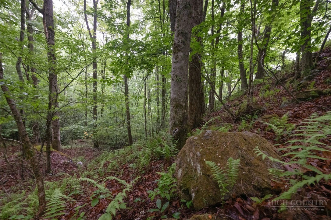 Image number 7 for the current listing