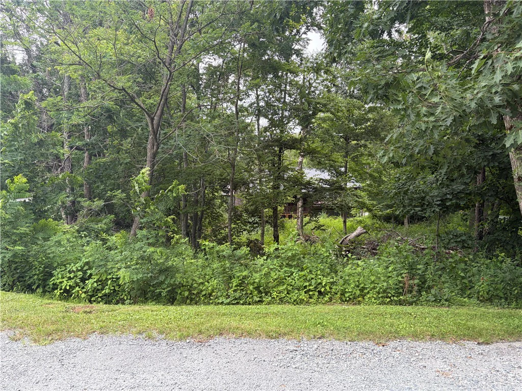 Image number 2 for the current listing