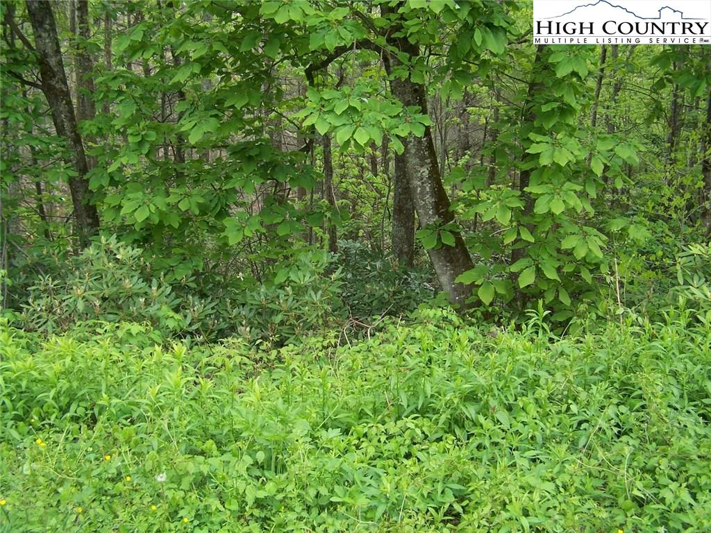 Image number 1 for the current listing