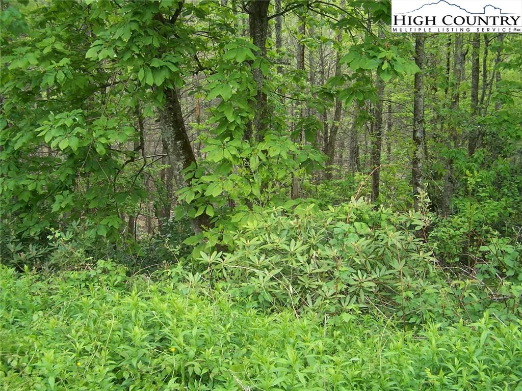 Image number 3 for the current listing