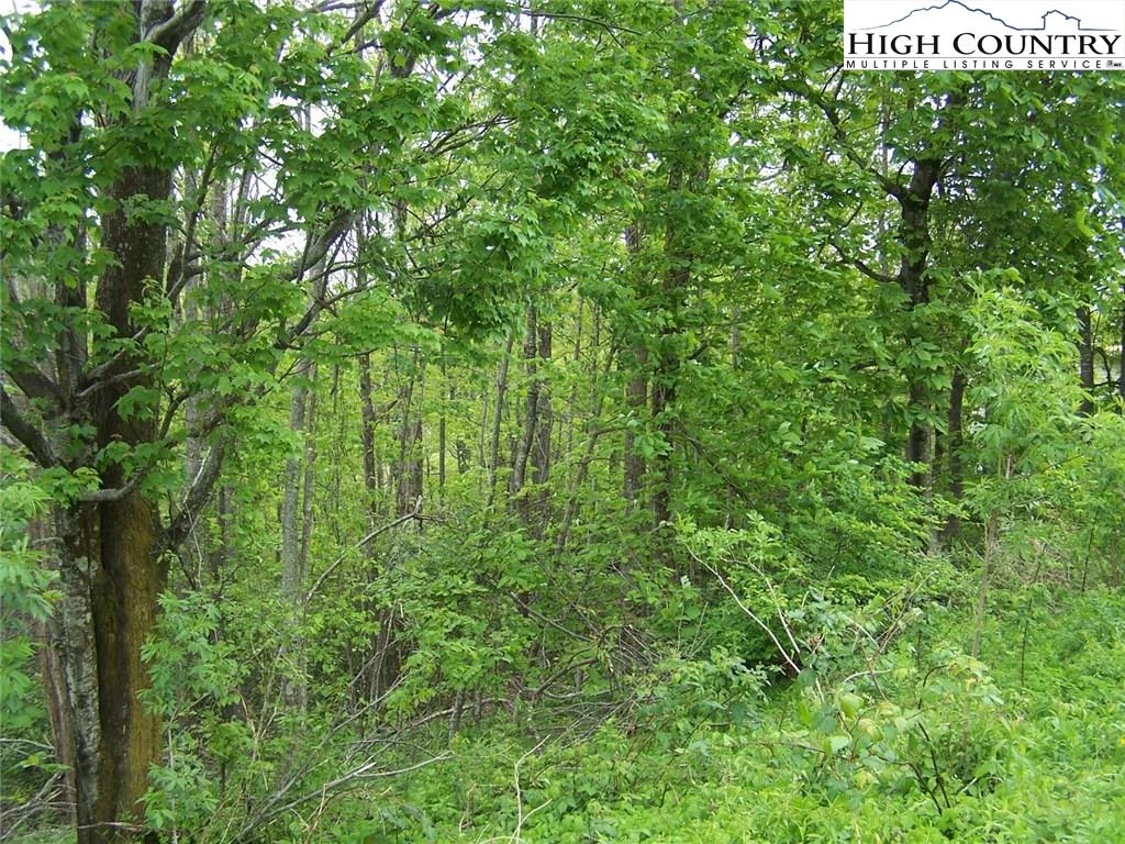 Image number 4 for the current listing