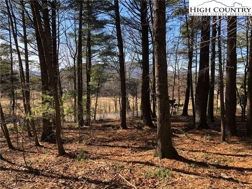 Image number 1 for the current listing