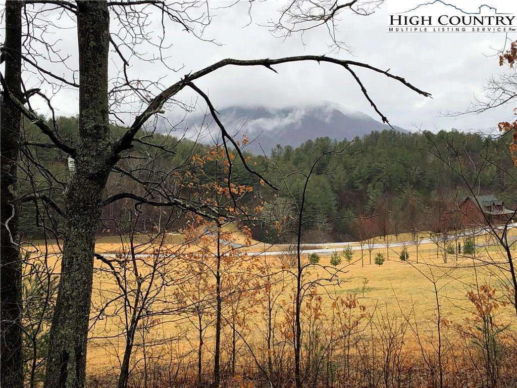 Image number 8 for the current listing