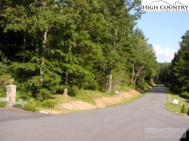 Image number 4 for the current listing