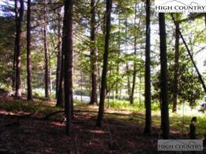 Image number 5 for the current listing