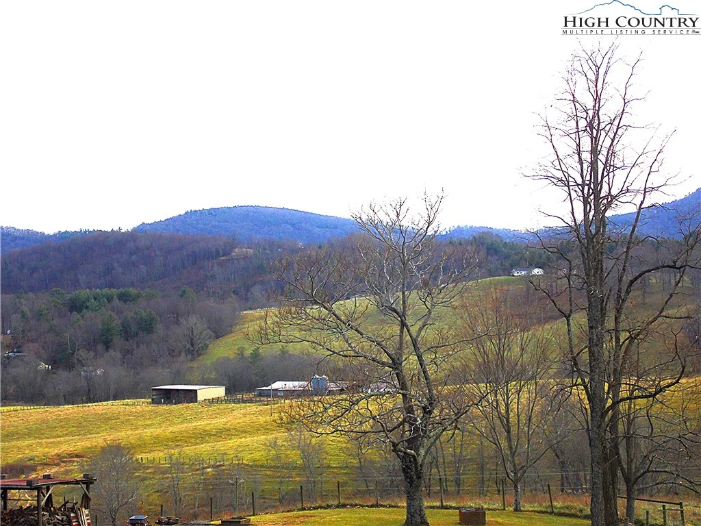 Image number 11 for the current listing