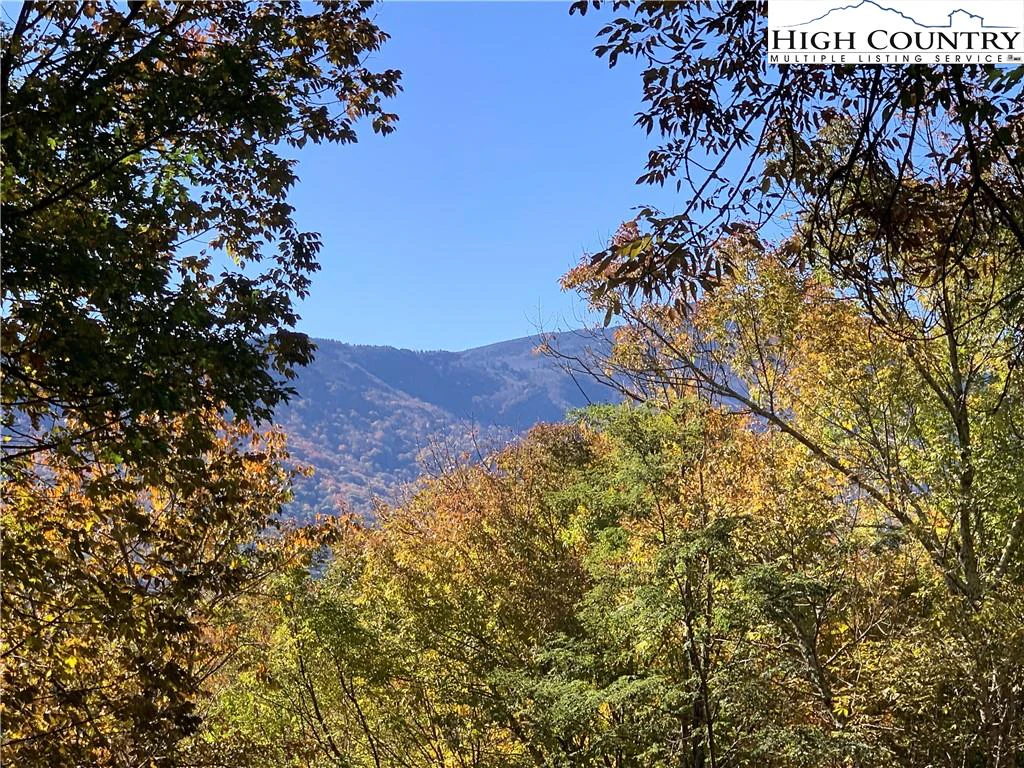 Image number 1 for the current listing