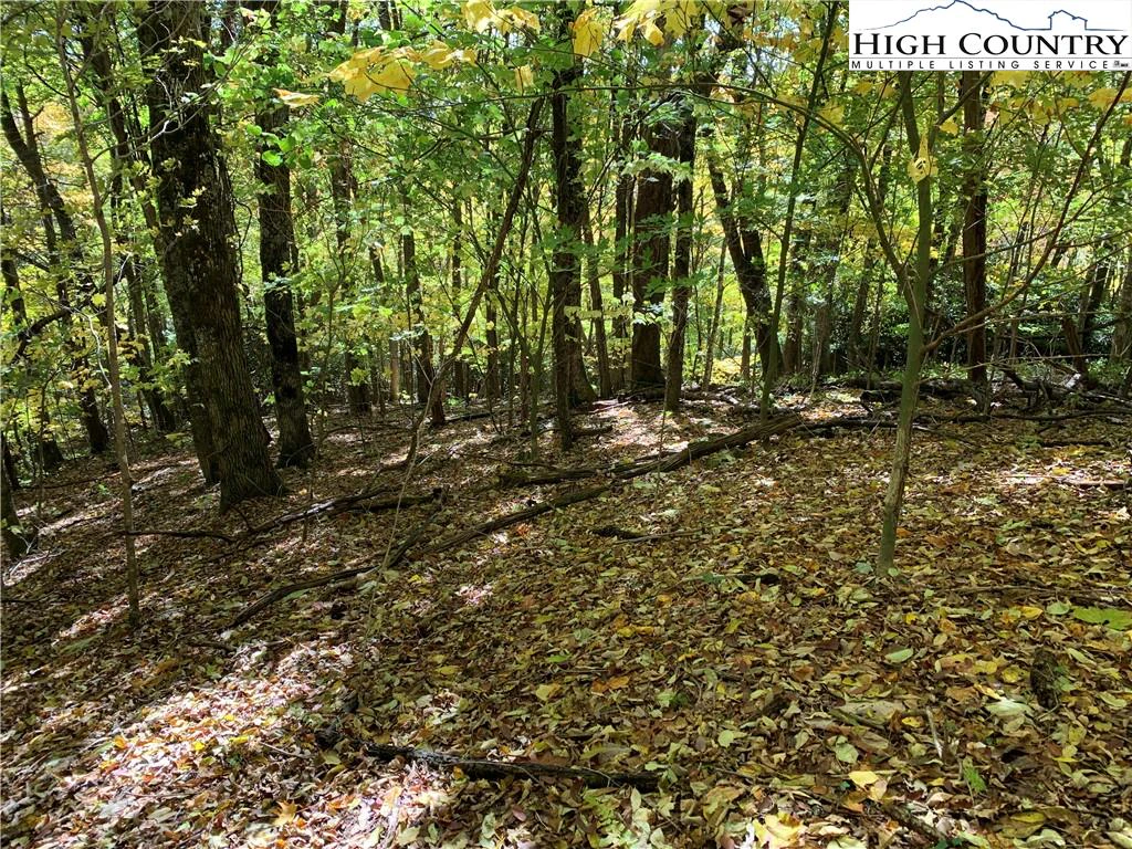 Image number 3 for the current listing
