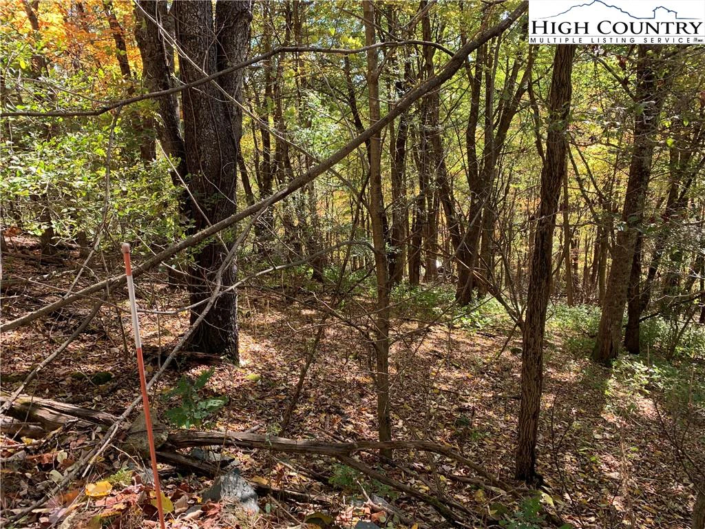Image number 7 for the current listing
