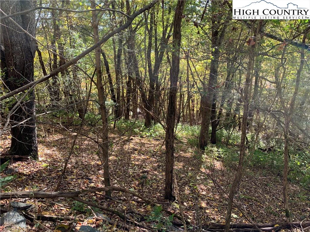 Image number 9 for the current listing