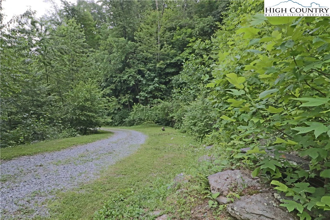 Image number 12 for the current listing