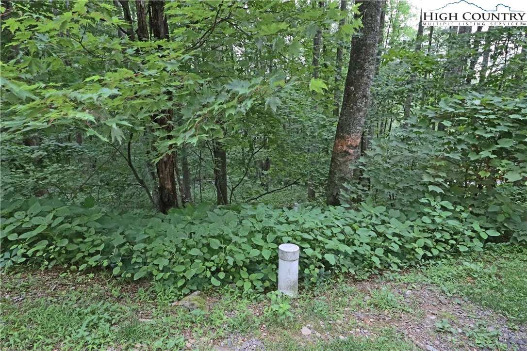Image number 15 for the current listing