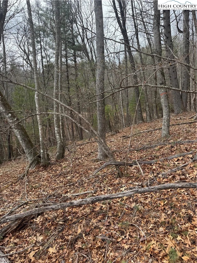 Image number 1 for the current listing