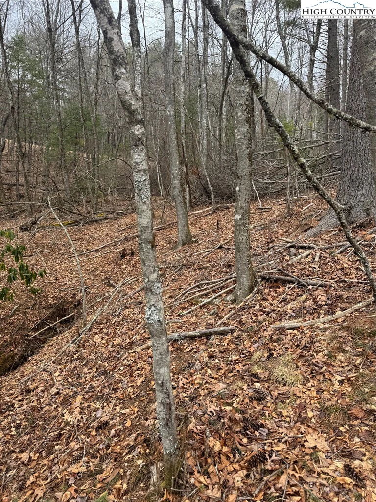 Image number 5 for the current listing