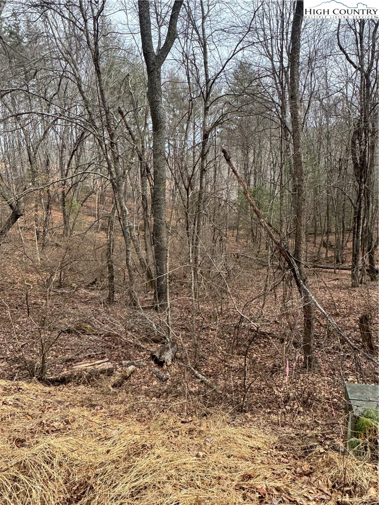 Image number 6 for the current listing