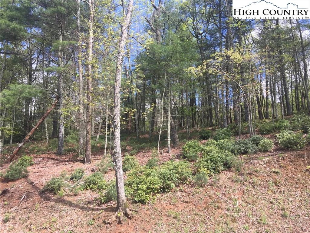 Image number 1 for the current listing