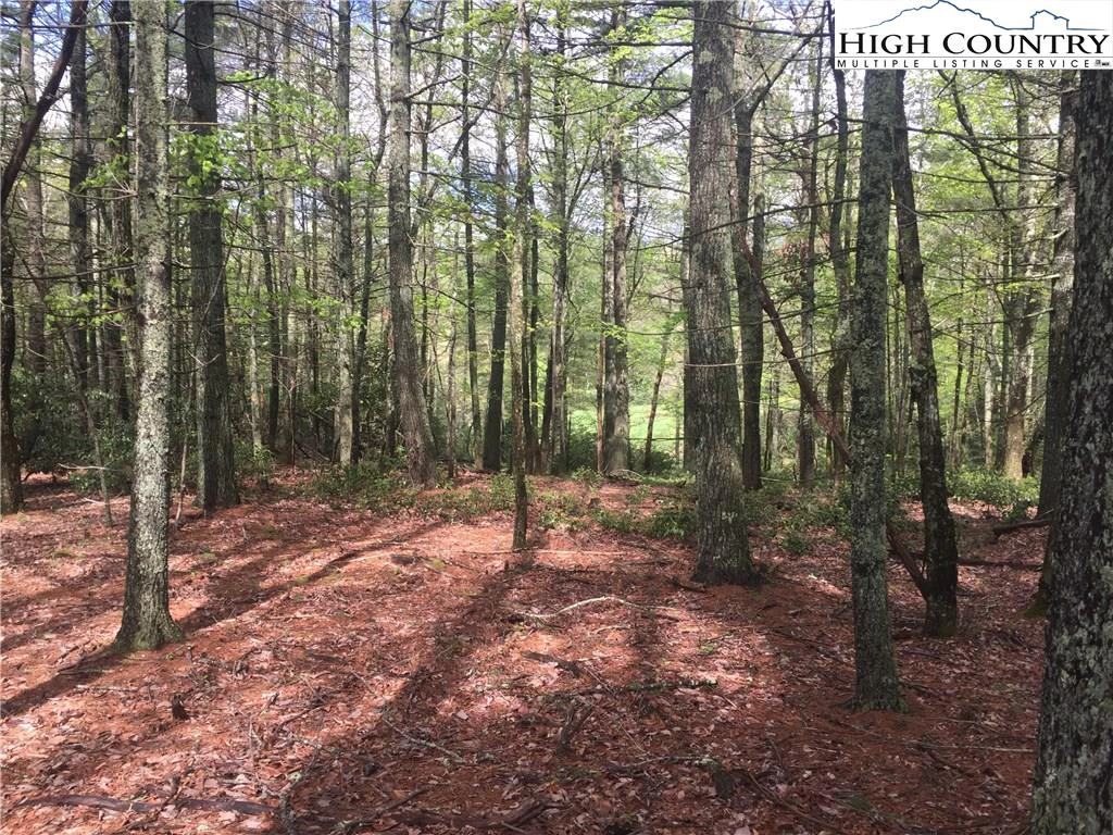 Image number 4 for the current listing