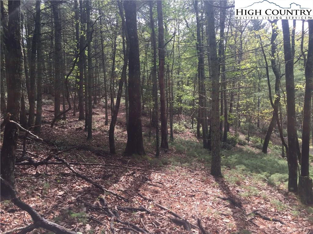 Image number 6 for the current listing