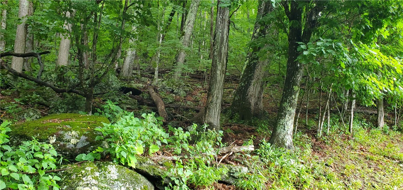 Image number 1 for the current listing