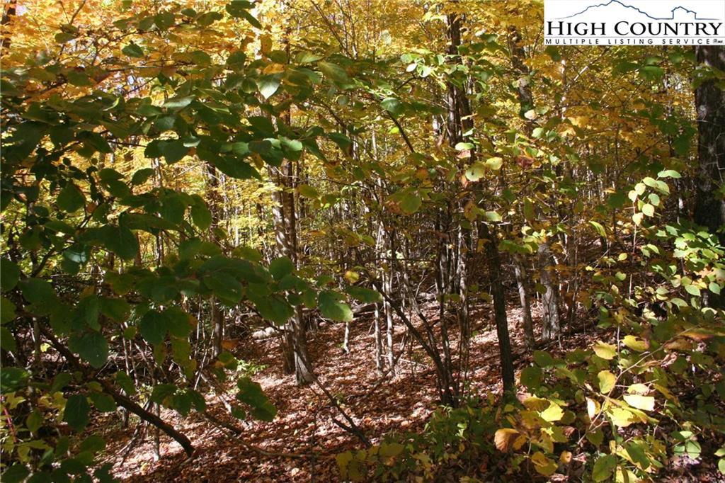 Image number 1 for the current listing