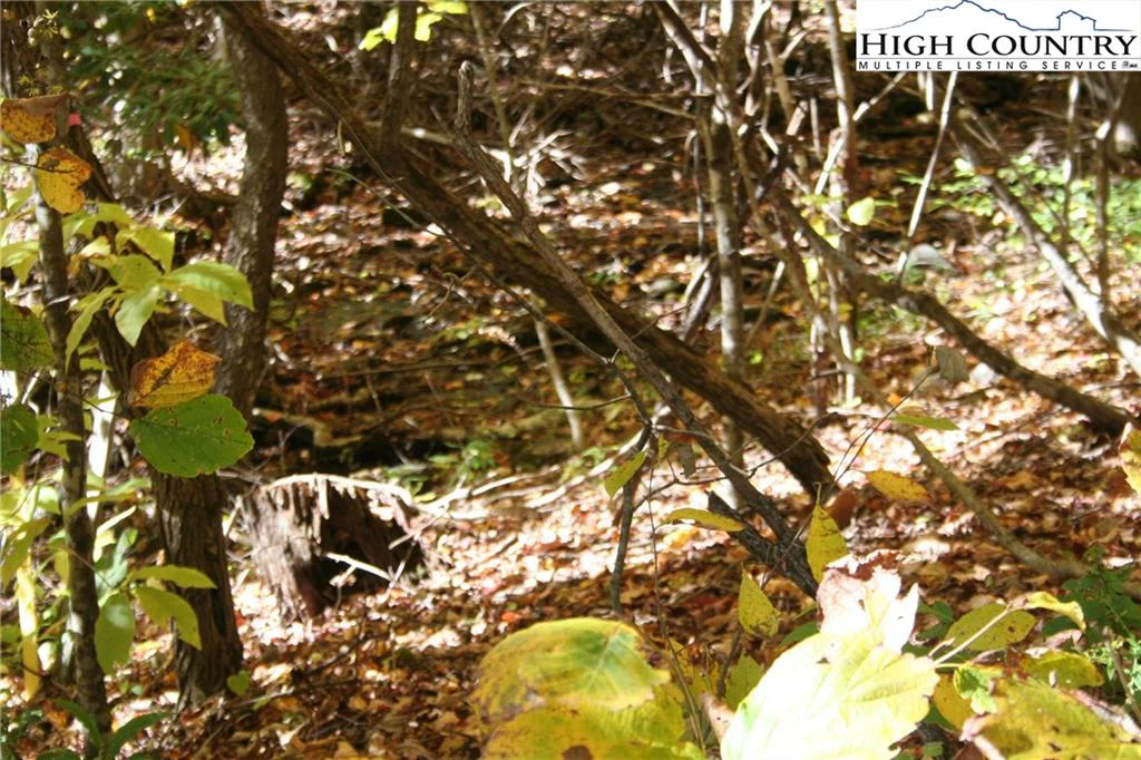 Image number 3 for the current listing