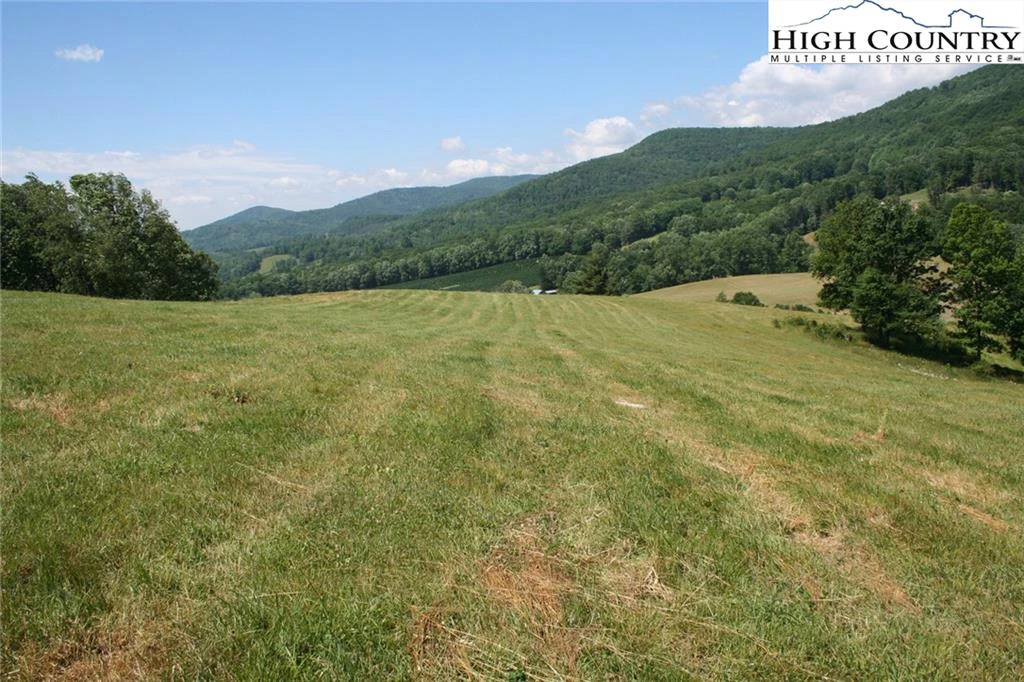 Image number 1 for the current listing
