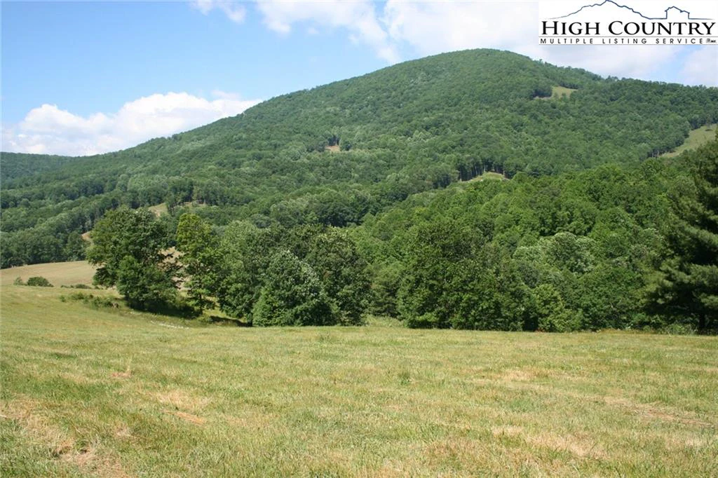 Image number 3 for the current listing