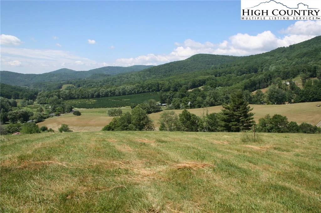 Image number 4 for the current listing