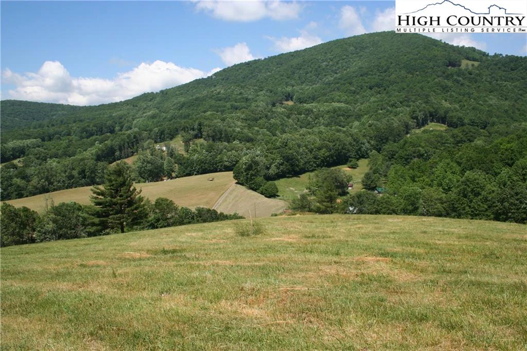 Image number 5 for the current listing