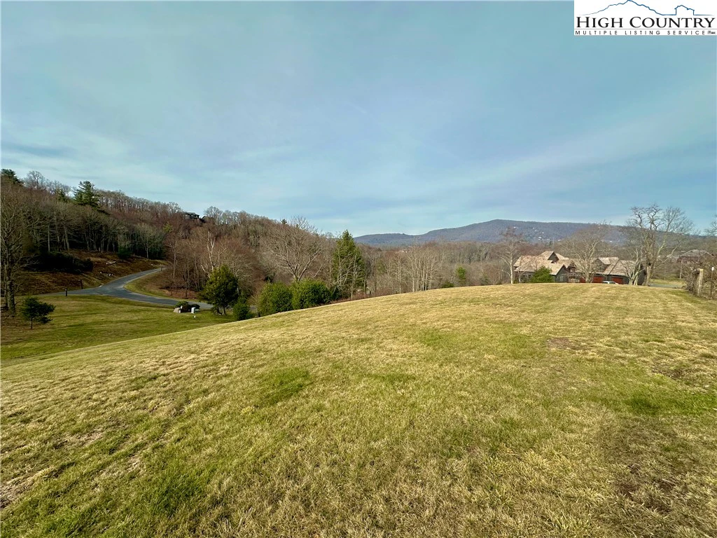 Image number 1 for the current listing