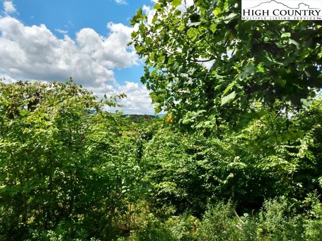 Image number 6 for the current listing