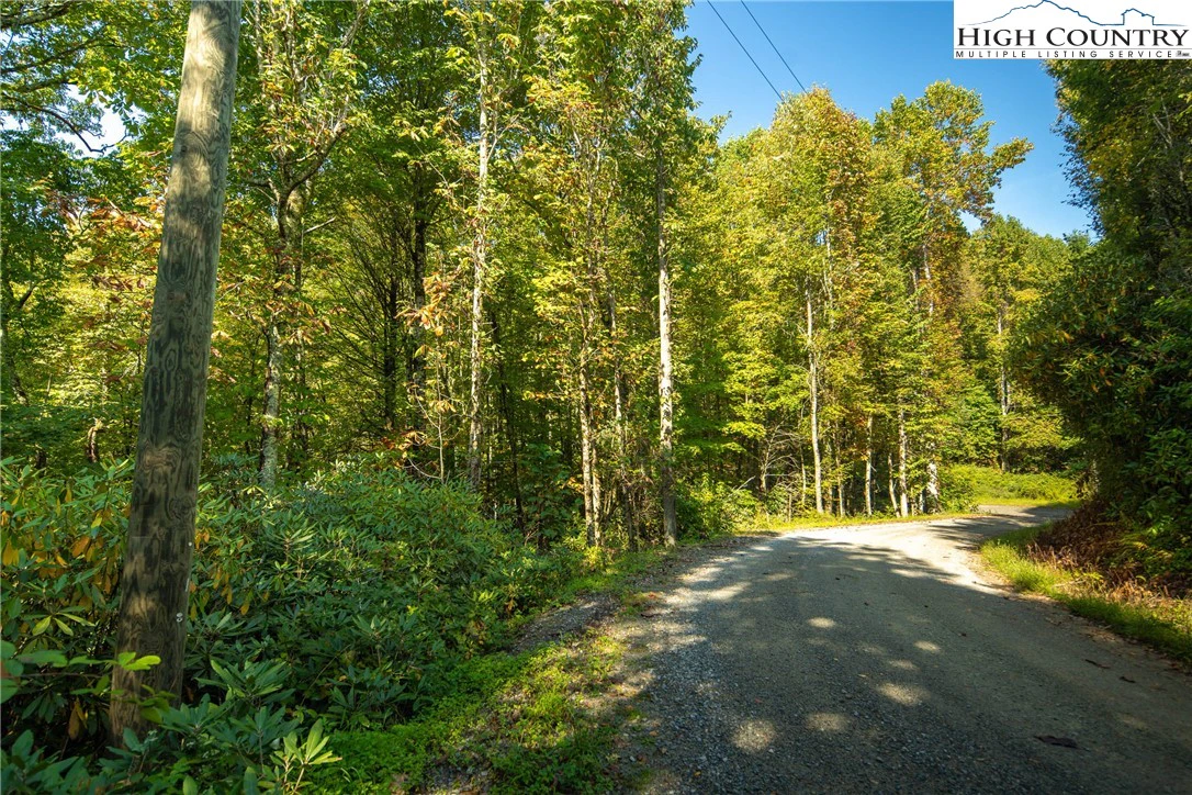 Image number 9 for the current listing
