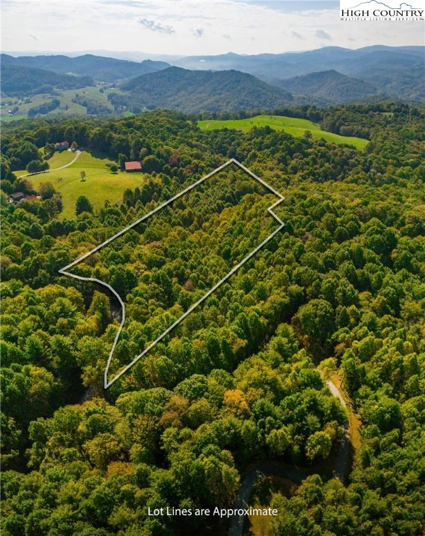 Image number 1 for the current listing