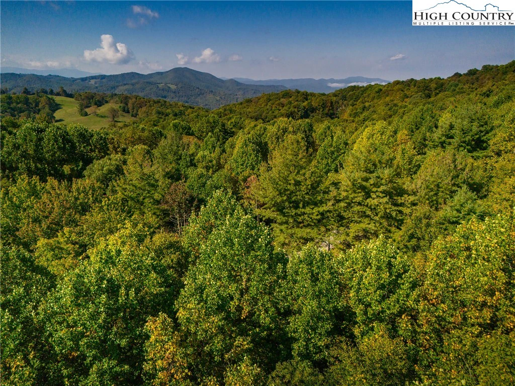 Image number 15 for the current listing