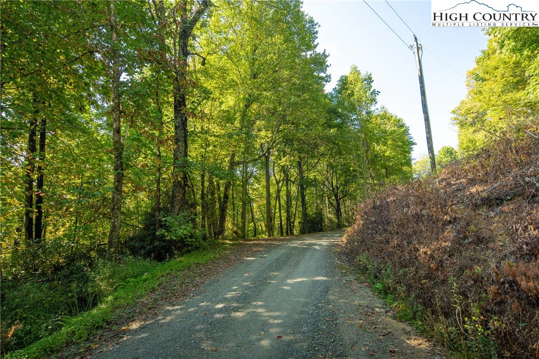 Image number 11 for the current listing