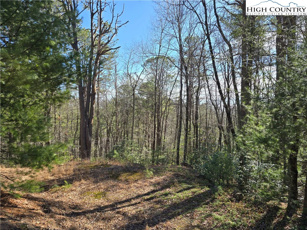 Image number 1 for the current listing