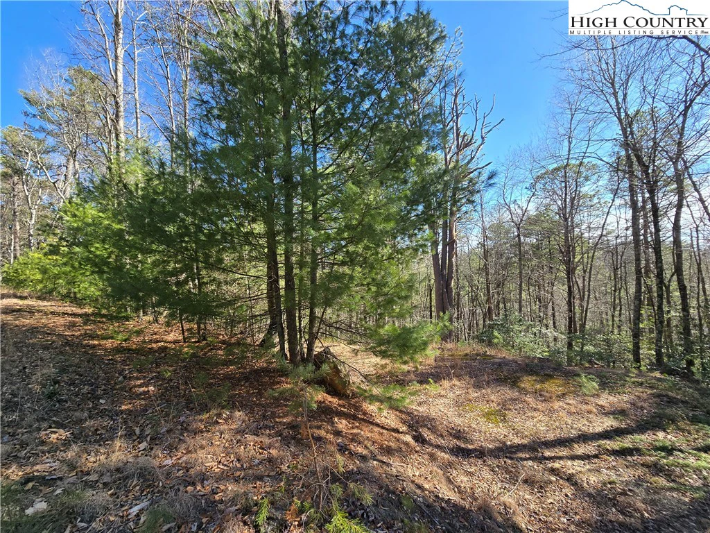 Image number 21 for the current listing