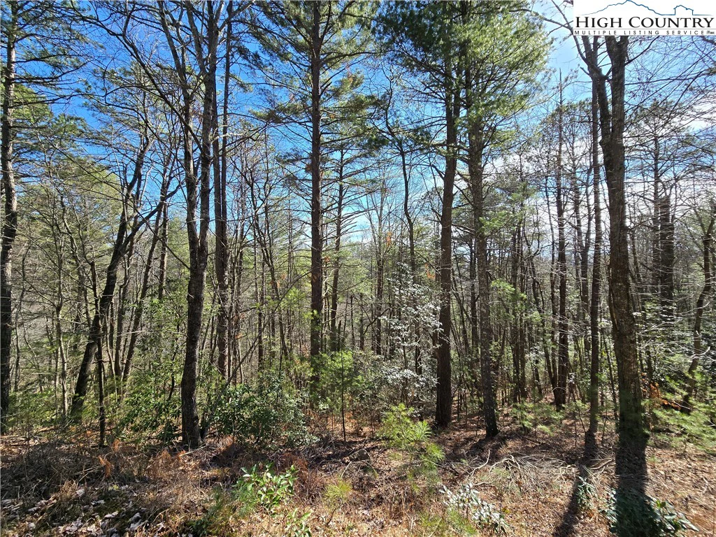 Image number 20 for the current listing