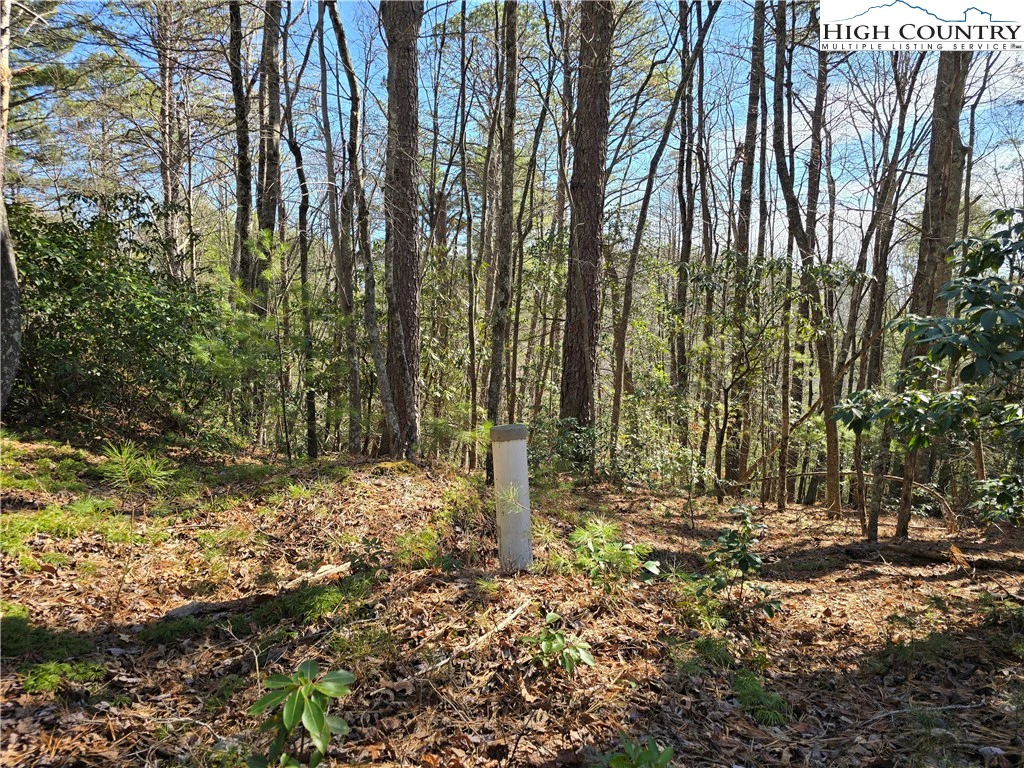Image number 16 for the current listing